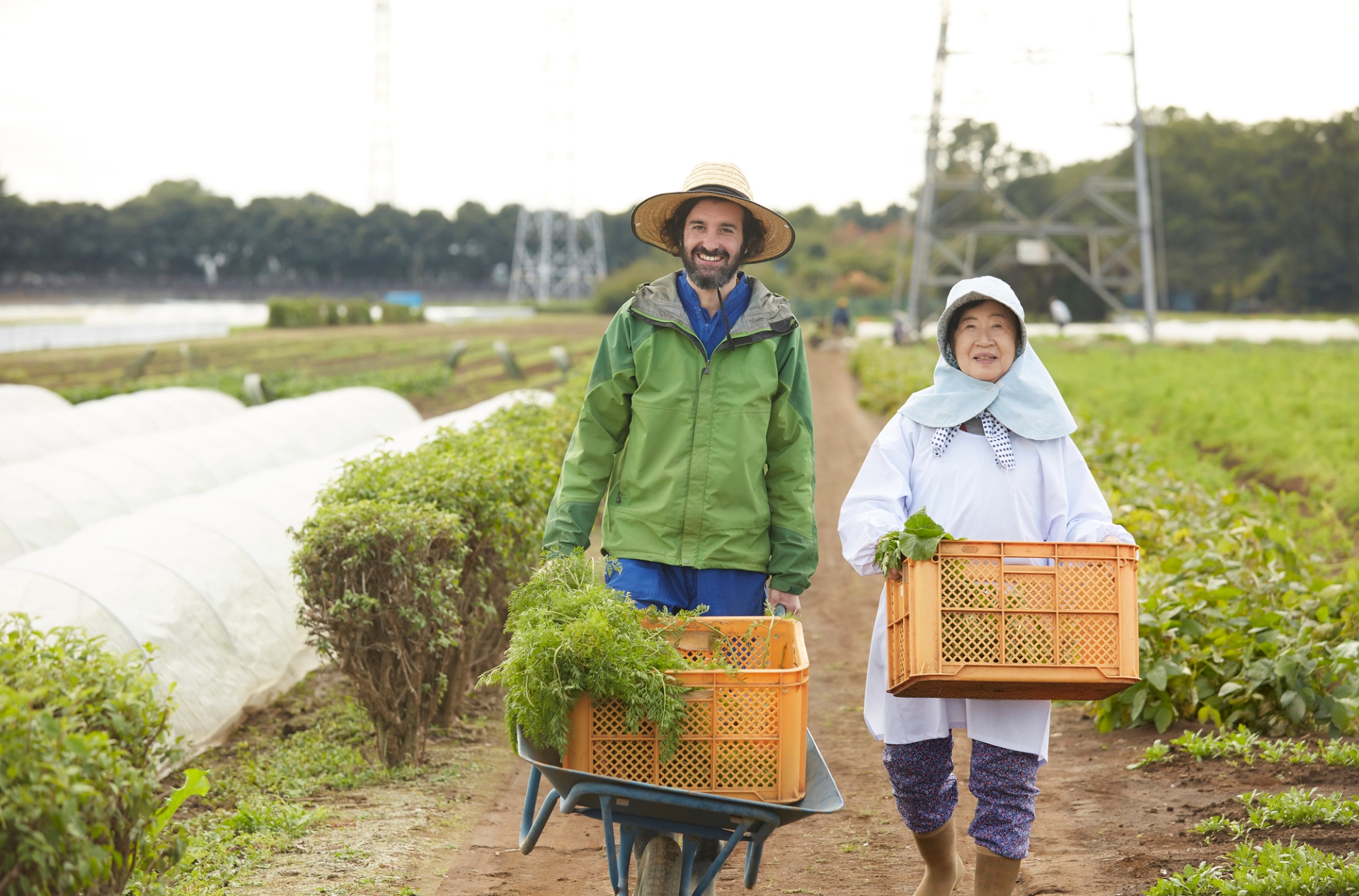 特定技能外国人の登録支援 | 山梨の外国人人材紹介なら株式会社Grapes